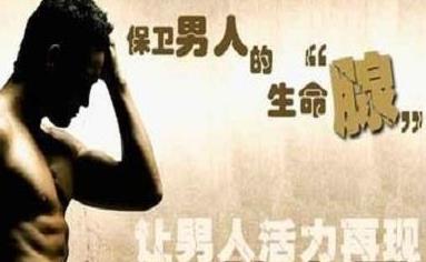 1-1G0241H156229 1-1G0241H156229